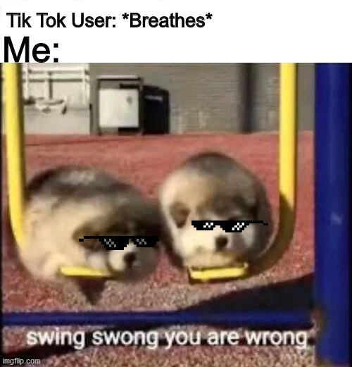 Tik Tok is wrong | Tik Tok User: *Breathes*; Me: | image tagged in swing swong you are wrong | made w/ Imgflip meme maker