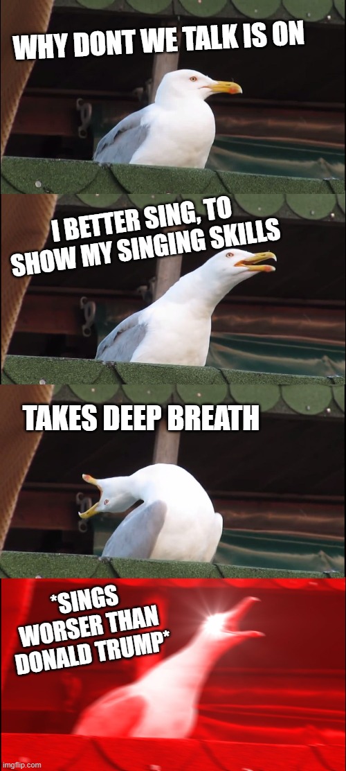 Inhaling Seagull Meme | WHY DONT WE TALK IS ON; I BETTER SING, TO SHOW MY SINGING SKILLS; TAKES DEEP BREATH; *SINGS WORSER THAN DONALD TRUMP* | image tagged in memes,inhaling seagull | made w/ Imgflip meme maker