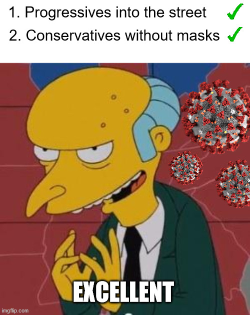 How to help the virus to do his job. | 1. Progressives into the street; 2. Conservatives without masks; EXCELLENT | image tagged in mr burns excellent,covid-19,memes,mask,riots,covidiots | made w/ Imgflip meme maker