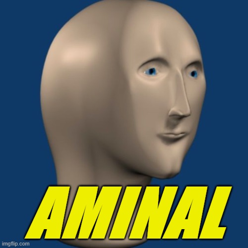 meme man | AMINAL | image tagged in meme man | made w/ Imgflip meme maker