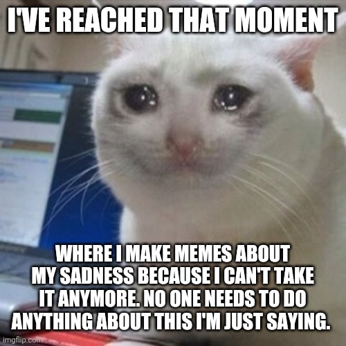 Don't pay attention to me | I'VE REACHED THAT MOMENT; WHERE I MAKE MEMES ABOUT MY SADNESS BECAUSE I CAN'T TAKE IT ANYMORE. NO ONE NEEDS TO DO ANYTHING ABOUT THIS I'M JUST SAYING. | image tagged in crying cat | made w/ Imgflip meme maker