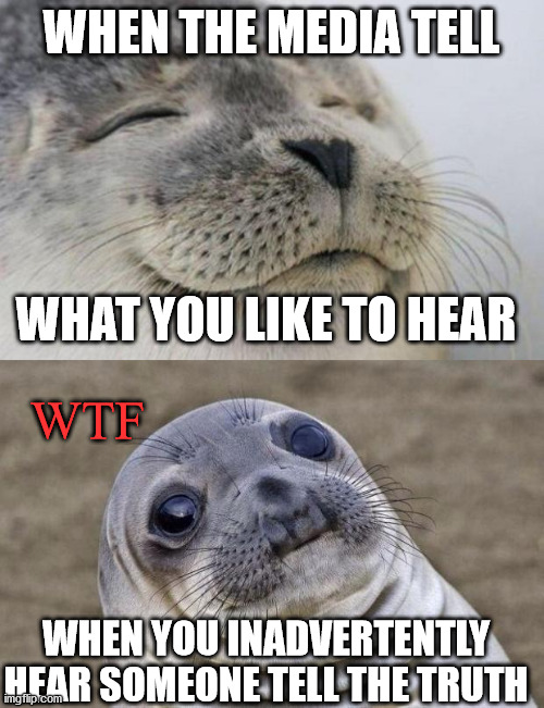 WHEN THE MEDIA TELL WHAT YOU LIKE TO HEAR WHEN YOU INADVERTENTLY HEAR SOMEONE TELL THE TRUTH WTF | image tagged in memes,awkward moment sealion,happy seal | made w/ Imgflip meme maker