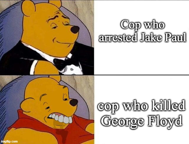 Finally. He is arrested. | Cop who arrested Jake Paul; cop who killed George Floyd | image tagged in tuxedo winnie the pooh grossed reverse | made w/ Imgflip meme maker