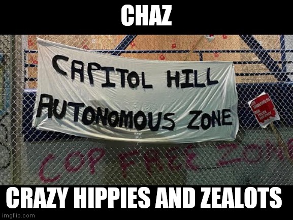 The true acronym for chaz | CHAZ; CRAZY HIPPIES AND ZEALOTS | image tagged in memes | made w/ Imgflip meme maker