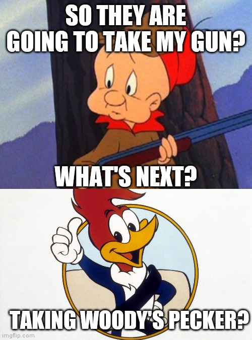 SO THEY ARE GOING TO TAKE MY GUN? WHAT'S NEXT? TAKING WOODY'S PECKER? | image tagged in elmer fudd,woody woodpecker | made w/ Imgflip meme maker