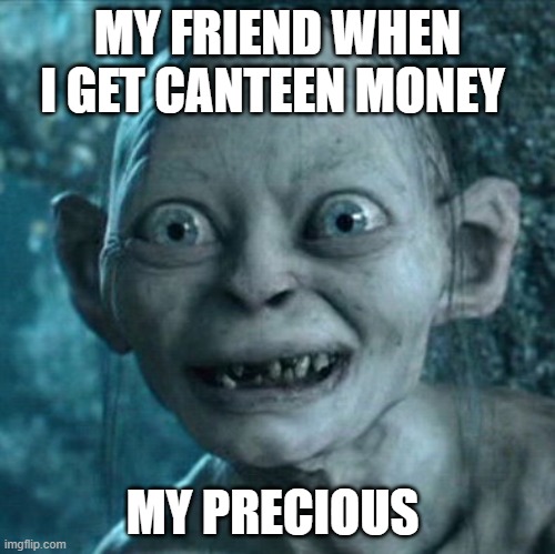 Gollum | MY FRIEND WHEN I GET CANTEEN MONEY; MY PRECIOUS | image tagged in memes,gollum | made w/ Imgflip meme maker