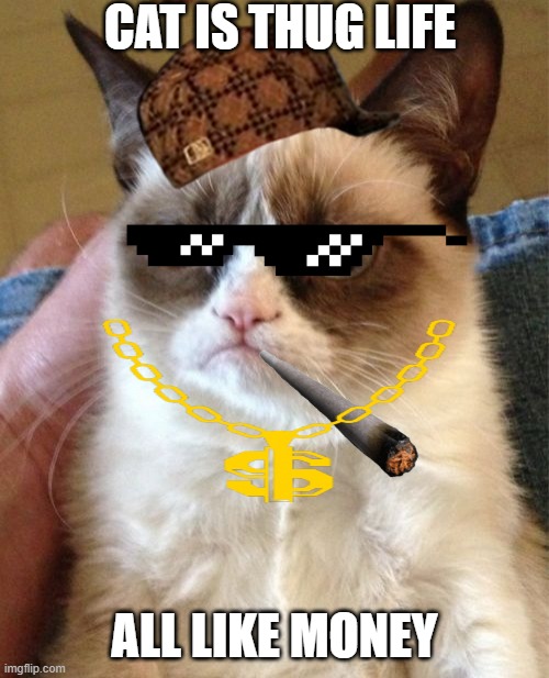 Grumpy Cat Meme | CAT IS THUG LIFE; ALL LIKE MONEY | image tagged in memes,grumpy cat | made w/ Imgflip meme maker