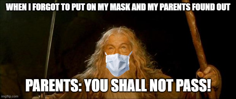 Better wear one next time. | WHEN I FORGOT TO PUT ON MY MASK AND MY PARENTS FOUND OUT; PARENTS: YOU SHALL NOT PASS! | image tagged in gandalf you shall not pass,coronavirus,face mask,memes | made w/ Imgflip meme maker