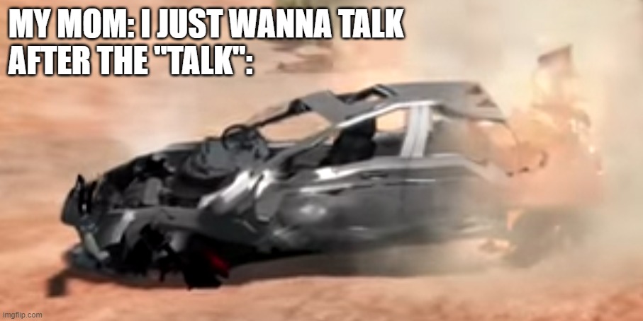 MY MOM: I JUST WANNA TALK
AFTER THE "TALK": | image tagged in memes | made w/ Imgflip meme maker