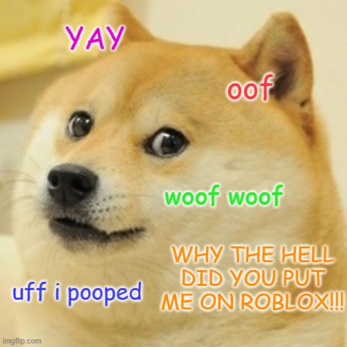 Doge Meme | YAY; oof; woof woof; WHY THE HELL DID YOU PUT ME ON ROBLOX!!! uff i pooped | image tagged in memes,doge | made w/ Imgflip meme maker