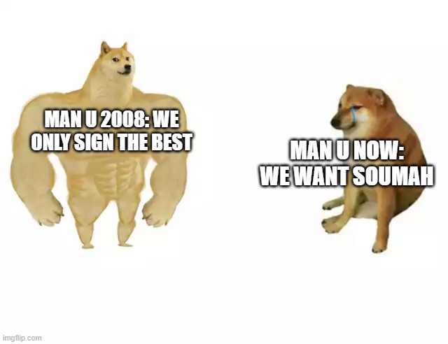 Buff Doge vs. Cheems | MAN U NOW: WE WANT SOUMAH; MAN U 2008: WE ONLY SIGN THE BEST | image tagged in buff doge vs cheems | made w/ Imgflip meme maker