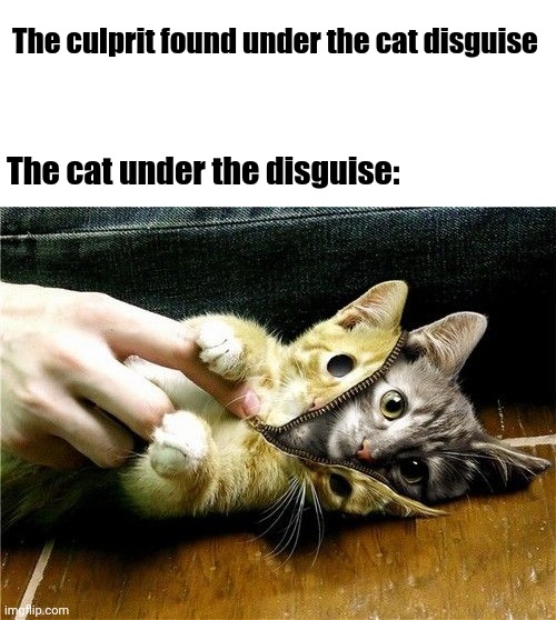 Cat under cat disguise | The culprit found under the cat disguise; The cat under the disguise: | image tagged in disguise,cats,cat,memes,meme,dank memes | made w/ Imgflip meme maker