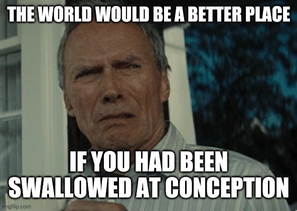 Disgusting face | THE WORLD WOULD BE A BETTER PLACE; IF YOU HAD BEEN SWALLOWED AT CONCEPTION | image tagged in disgusting face | made w/ Imgflip meme maker