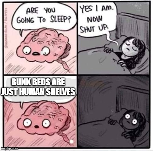Sleeping Brain | BUNK BEDS ARE JUST HUMAN SHELVES | image tagged in sleeping brain | made w/ Imgflip meme maker