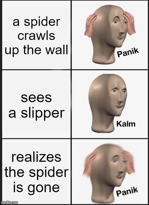 Panik Kalm Panik | a spider crawls up the wall; sees a slipper; realizes the spider is gone | image tagged in memes,panik kalm panik | made w/ Imgflip meme maker