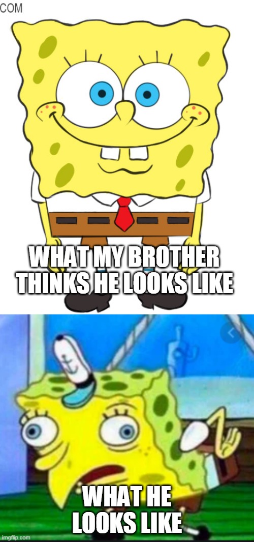 WHAT MY BROTHER THINKS HE LOOKS LIKE; WHAT HE LOOKS LIKE | image tagged in fun | made w/ Imgflip meme maker