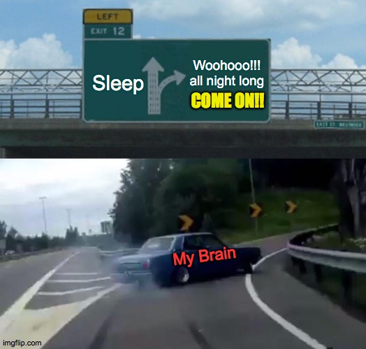 No Sleep Til.... | Woohooo!!!
all night long; Sleep; COME ON!! My Brain | image tagged in memes,left exit 12 off ramp,brain,sleep | made w/ Imgflip meme maker