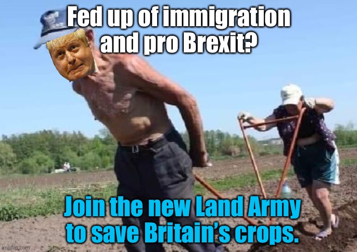 Land army | Fed up of immigration
and pro Brexit? Join the new Land Army to save Britain’s crops. | image tagged in land army | made w/ Imgflip meme maker