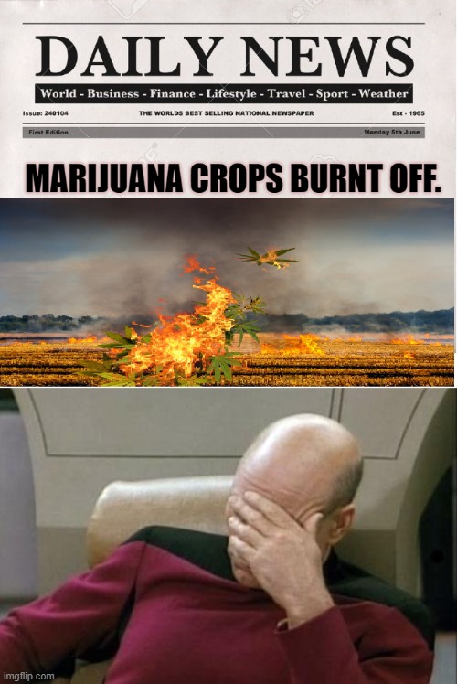 . | image tagged in memes,captain picard facepalm | made w/ Imgflip meme maker
