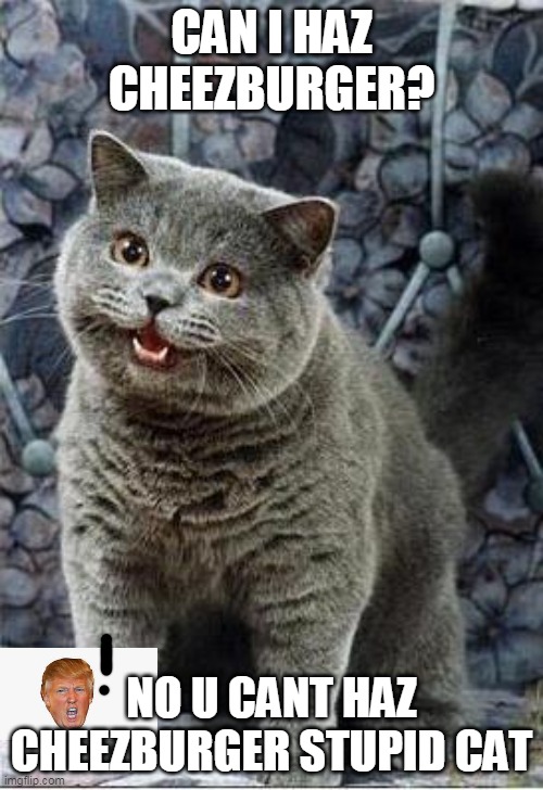 DONALD TRUMP DENIES CAT!! | CAN I HAZ CHEEZBURGER? NO U CANT HAZ CHEEZBURGER STUPID CAT | image tagged in i can has cheezburger cat | made w/ Imgflip meme maker