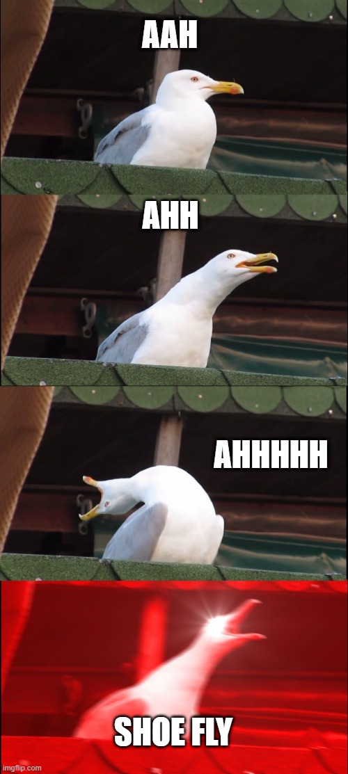 Inhaling Seagull | AAH; AHH; AHHHHH; SHOE FLY | image tagged in memes,inhaling seagull | made w/ Imgflip meme maker