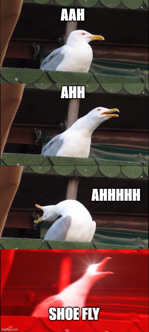 Inhaling Seagull Meme | AAH; AHH; AHHHHH; SHOE FLY | image tagged in memes,inhaling seagull | made w/ Imgflip meme maker