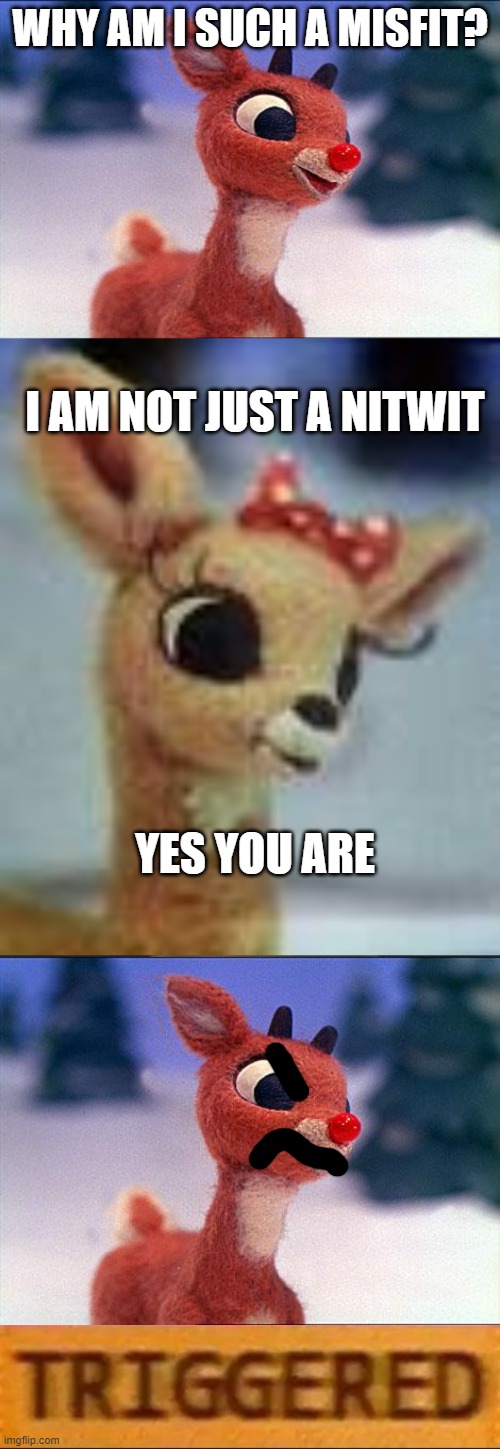 Rudolph is Triggered | WHY AM I SUCH A MISFIT? I AM NOT JUST A NITWIT; YES YOU ARE | image tagged in rudolph,roblox triggered,clarice rudolph | made w/ Imgflip meme maker