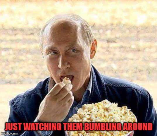 JUST WATCHING THEM BUMBLING AROUND | image tagged in putin popcorn | made w/ Imgflip meme maker