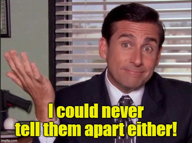 Michael Scott | l couId never teII them apart either! | image tagged in michael scott | made w/ Imgflip meme maker