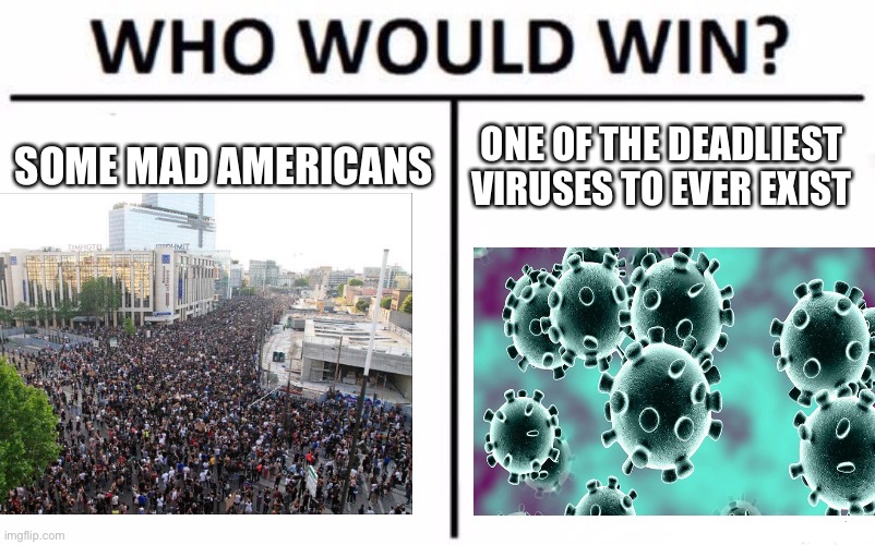 Thoughts on this? | SOME MAD AMERICANS; ONE OF THE DEADLIEST VIRUSES TO EVER EXIST | image tagged in who would win,covid-19 | made w/ Imgflip meme maker