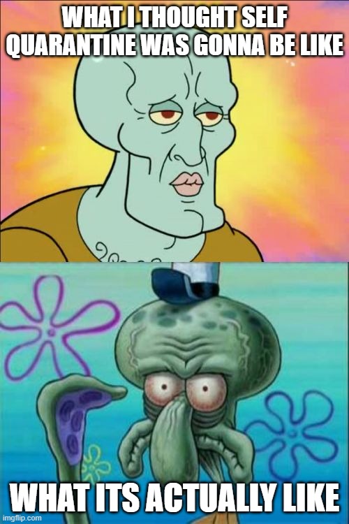 Squidward | WHAT I THOUGHT SELF QUARANTINE WAS GONNA BE LIKE; WHAT ITS ACTUALLY LIKE | image tagged in memes,squidward | made w/ Imgflip meme maker