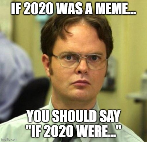 if 2020 was a meme | IF 2020 WAS A MEME... YOU SHOULD SAY "IF 2020 WERE..." | image tagged in false,2020,meme,memes | made w/ Imgflip meme maker