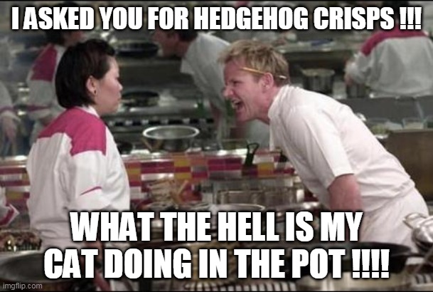 cat problem | I ASKED YOU FOR HEDGEHOG CRISPS !!! WHAT THE HELL IS MY CAT DOING IN THE POT !!!! | image tagged in memes,angry chef gordon ramsay | made w/ Imgflip meme maker