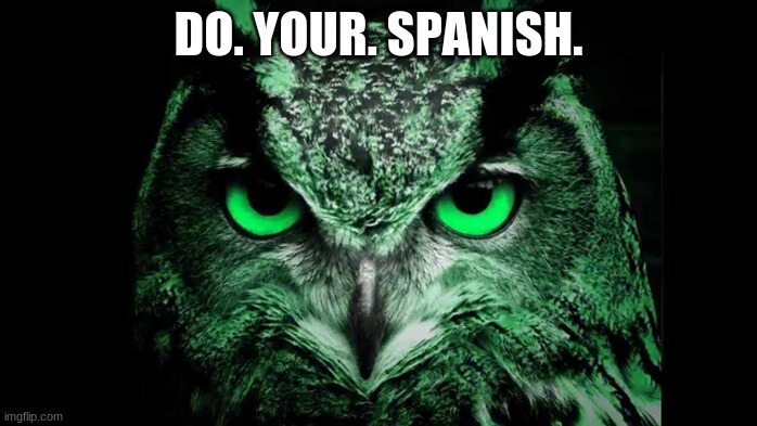 do your duolingo | DO. YOUR. SPANISH. | image tagged in hehehe | made w/ Imgflip meme maker