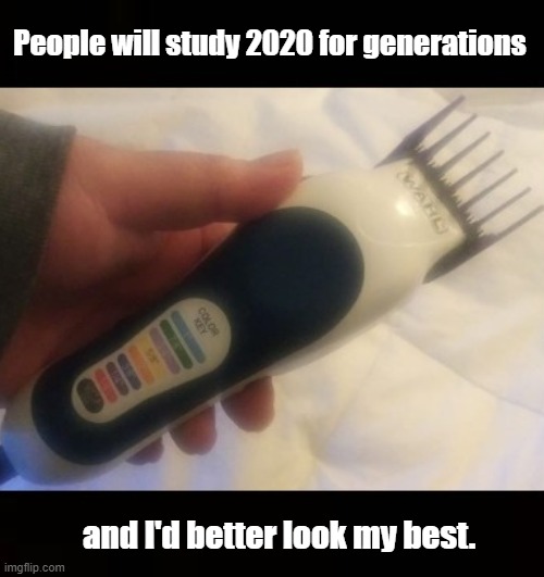 Hindsight | People will study 2020 for generations; and I'd better look my best. | image tagged in 2020,history | made w/ Imgflip meme maker