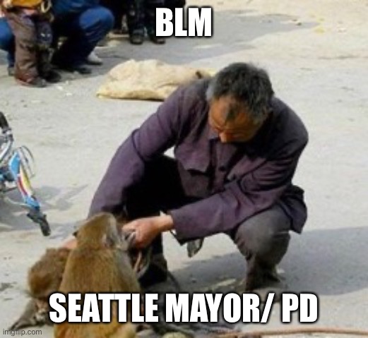 BLM; SEATTLE MAYOR/ PD | image tagged in begging | made w/ Imgflip meme maker