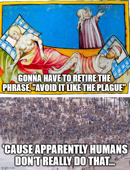 Avoid it like the Plague | GONNA HAVE TO RETIRE THE PHRASE, "AVOID IT LIKE THE PLAGUE"; 'CAUSE APPARENTLY HUMANS DON'T REALLY DO THAT... | image tagged in covid,plague | made w/ Imgflip meme maker