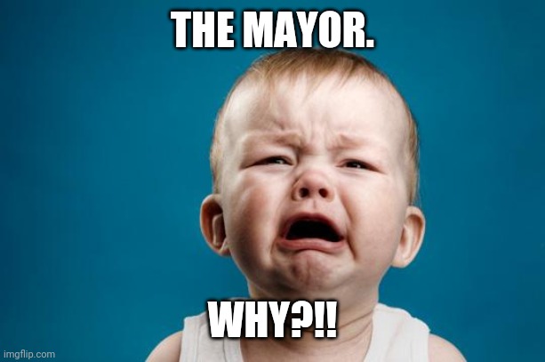 BABY CRYING | THE MAYOR. WHY?!! | image tagged in baby crying | made w/ Imgflip meme maker