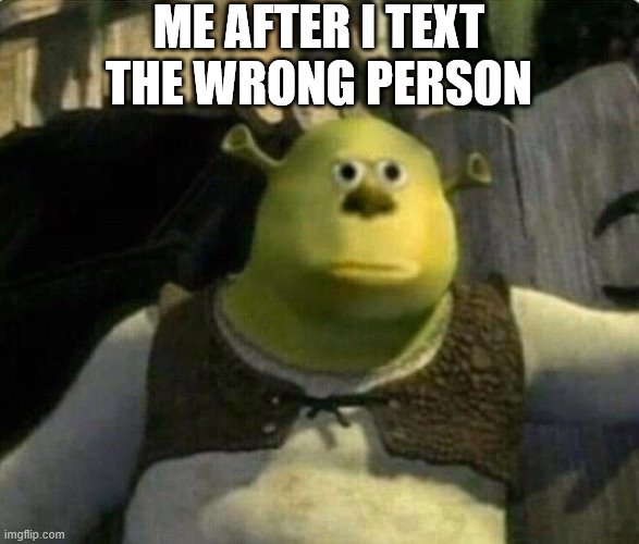 Surprised Shrek | ME AFTER I TEXT THE WRONG PERSON | image tagged in surprised shrek | made w/ Imgflip meme maker