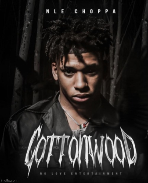 Cottonwood Album Cover NLE Choppa | image tagged in cottonwood album cover nle choppa | made w/ Imgflip meme maker