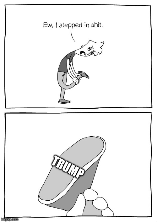 Ew, i stepped in shit | TRUMP | image tagged in ew i stepped in shit | made w/ Imgflip meme maker