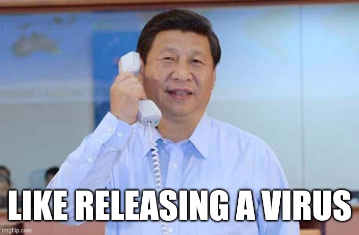 China President | LIKE RELEASING A VIRUS | image tagged in china president | made w/ Imgflip meme maker