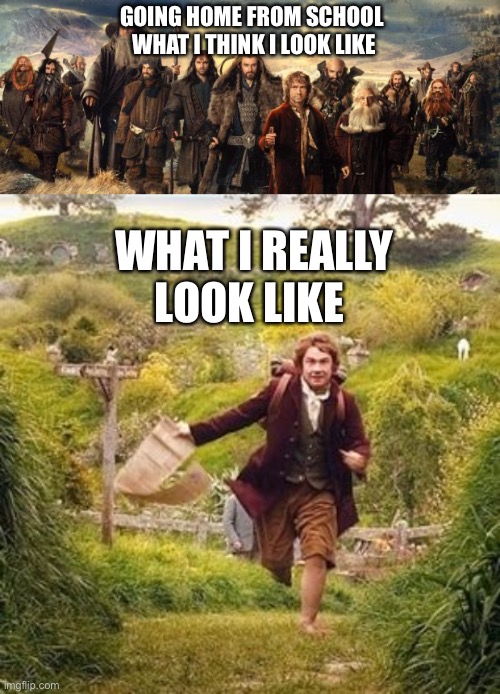 School | GOING HOME FROM SCHOOL 
WHAT I THINK I LOOK LIKE; WHAT I REALLY LOOK LIKE | image tagged in hobbits,hobbit adventure | made w/ Imgflip meme maker