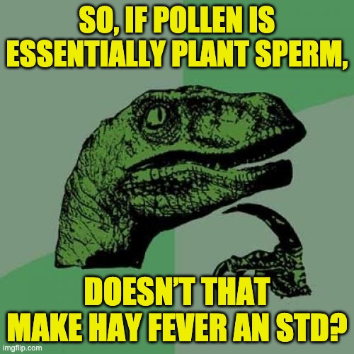 Hmm | SO, IF POLLEN IS ESSENTIALLY PLANT SPERM, DOESN’T THAT MAKE HAY FEVER AN STD? | image tagged in memes,philosoraptor | made w/ Imgflip meme maker