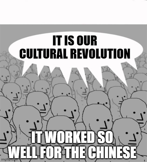 NPCProgramScreed | IT IS OUR CULTURAL REVOLUTION IT WORKED SO WELL FOR THE CHINESE | image tagged in npcprogramscreed | made w/ Imgflip meme maker