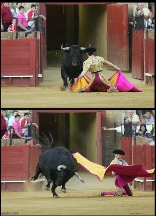 TEMPLATE - Matador | image tagged in new template | made w/ Imgflip meme maker