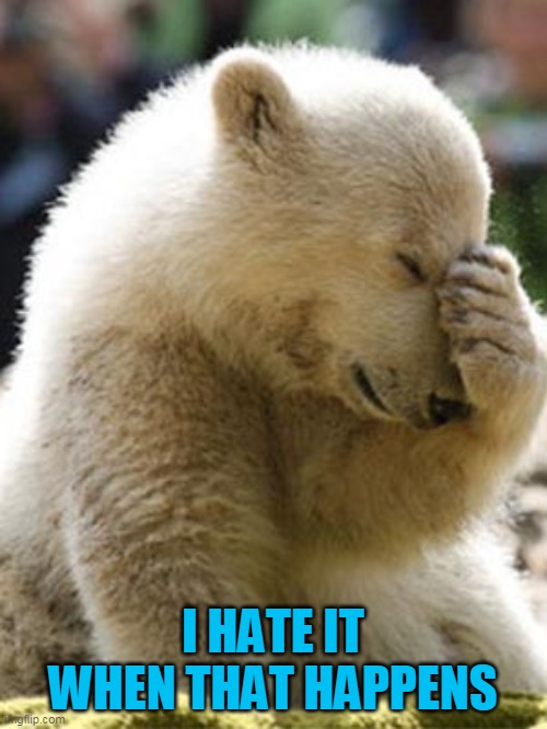 Facepalm Bear Meme | I HATE IT WHEN THAT HAPPENS | image tagged in memes,facepalm bear | made w/ Imgflip meme maker
