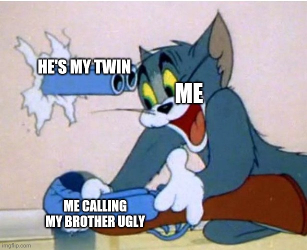 Tom and Jerry |  HE'S MY TWIN; ME; ME CALLING MY BROTHER UGLY | image tagged in tom and jerry,twins,funny memes,backfired,memes,oh wow are you actually reading these tags | made w/ Imgflip meme maker