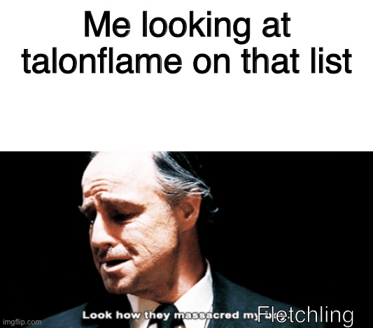 Me looking at talonflame on that list Fletchling | image tagged in blank white template,look how they massacred my boy | made w/ Imgflip meme maker