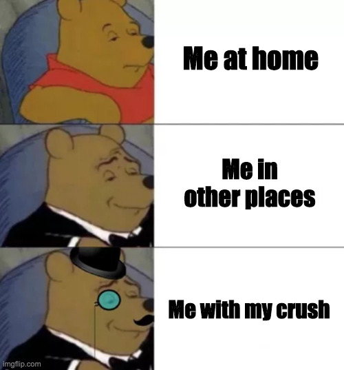 Fancy pooh | Me at home; Me in other places; Me with my crush | image tagged in fancy pooh | made w/ Imgflip meme maker